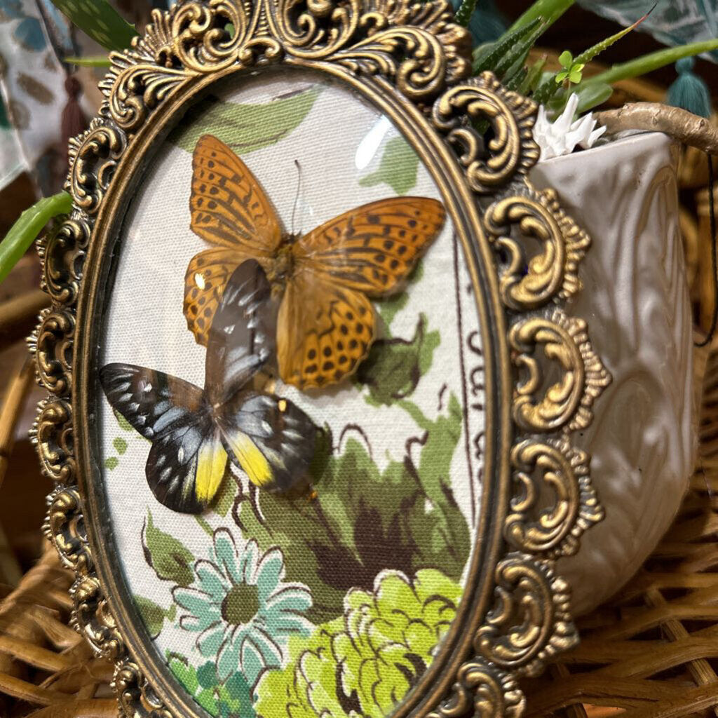 Vintage outlet framed butterfly