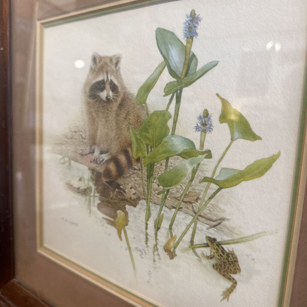 Vintage Raccoon print MG Loates