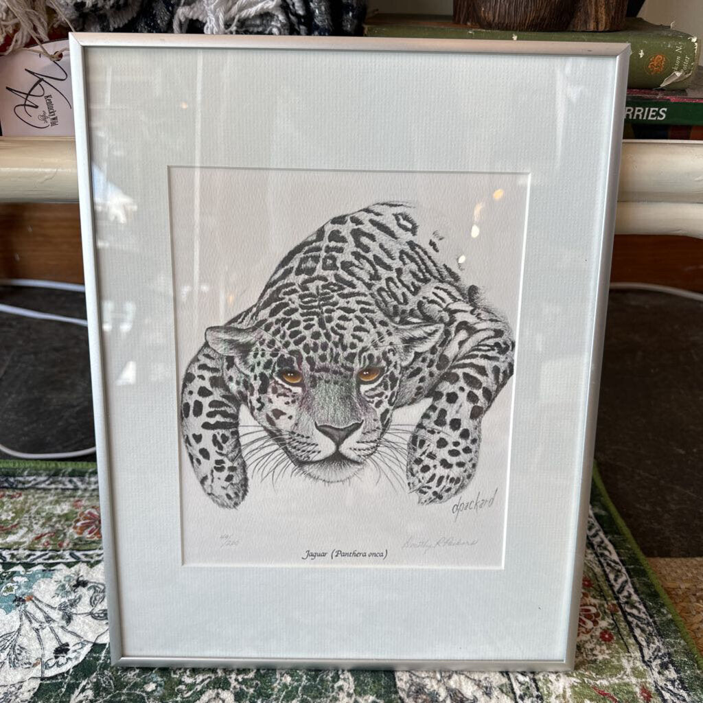 Vintage Framed & Matted Original, Signed & Numbered Jaguar