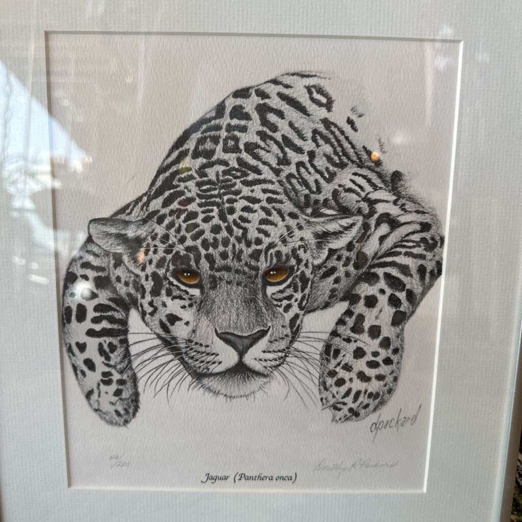 Vintage Framed & Matted Original, Signed & Numbered Jaguar