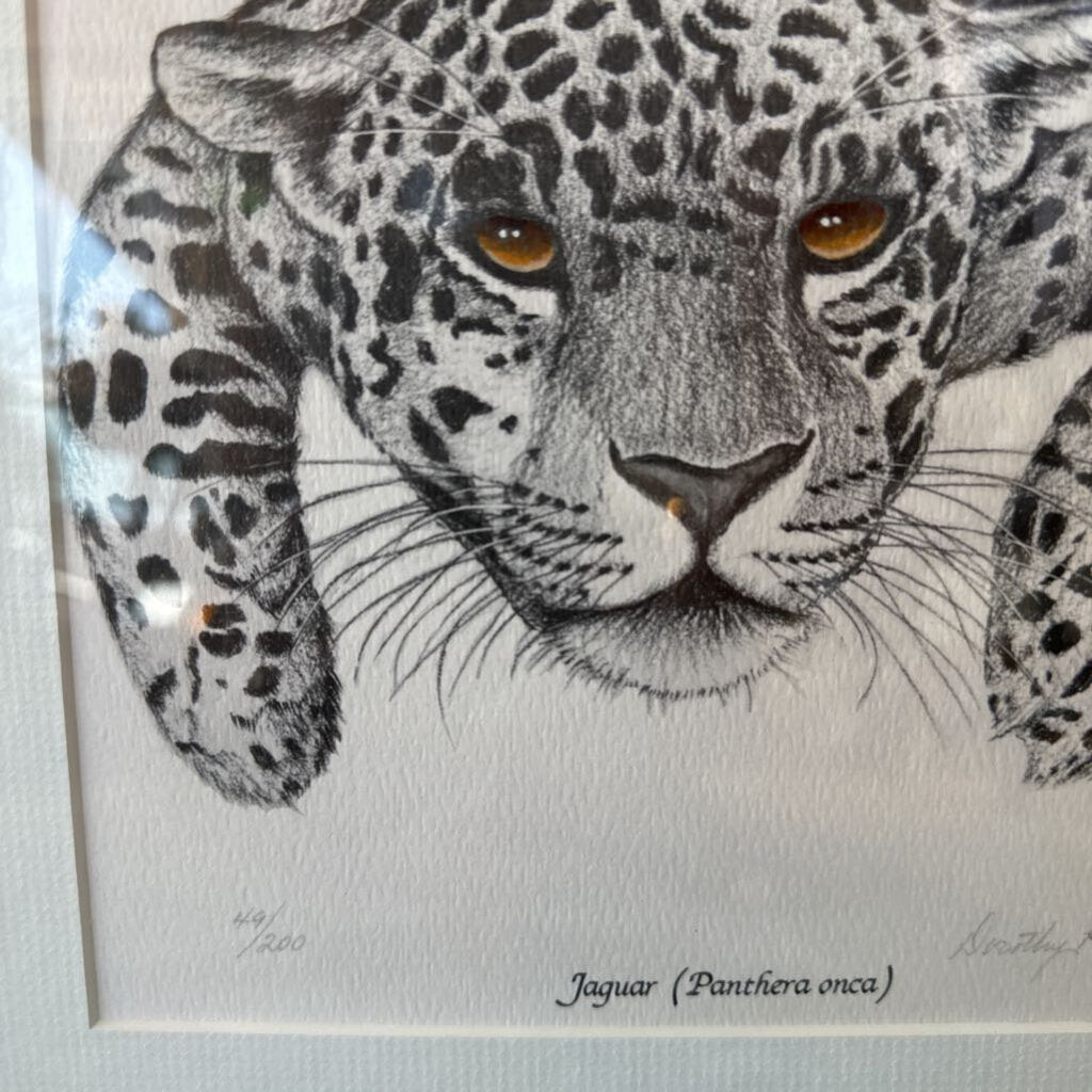 Vintage Framed & Matted Original, Signed & Numbered Jaguar