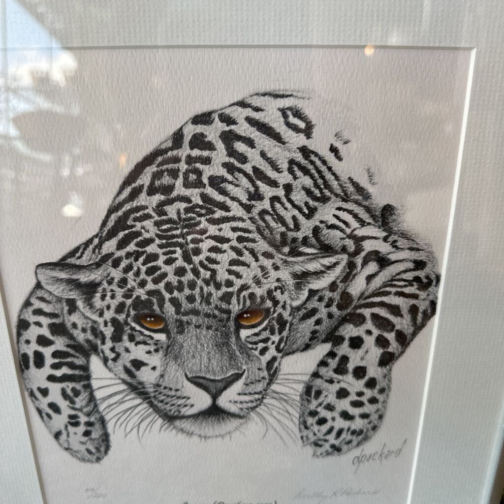 Vintage Framed & Matted Original, Signed & Numbered Jaguar