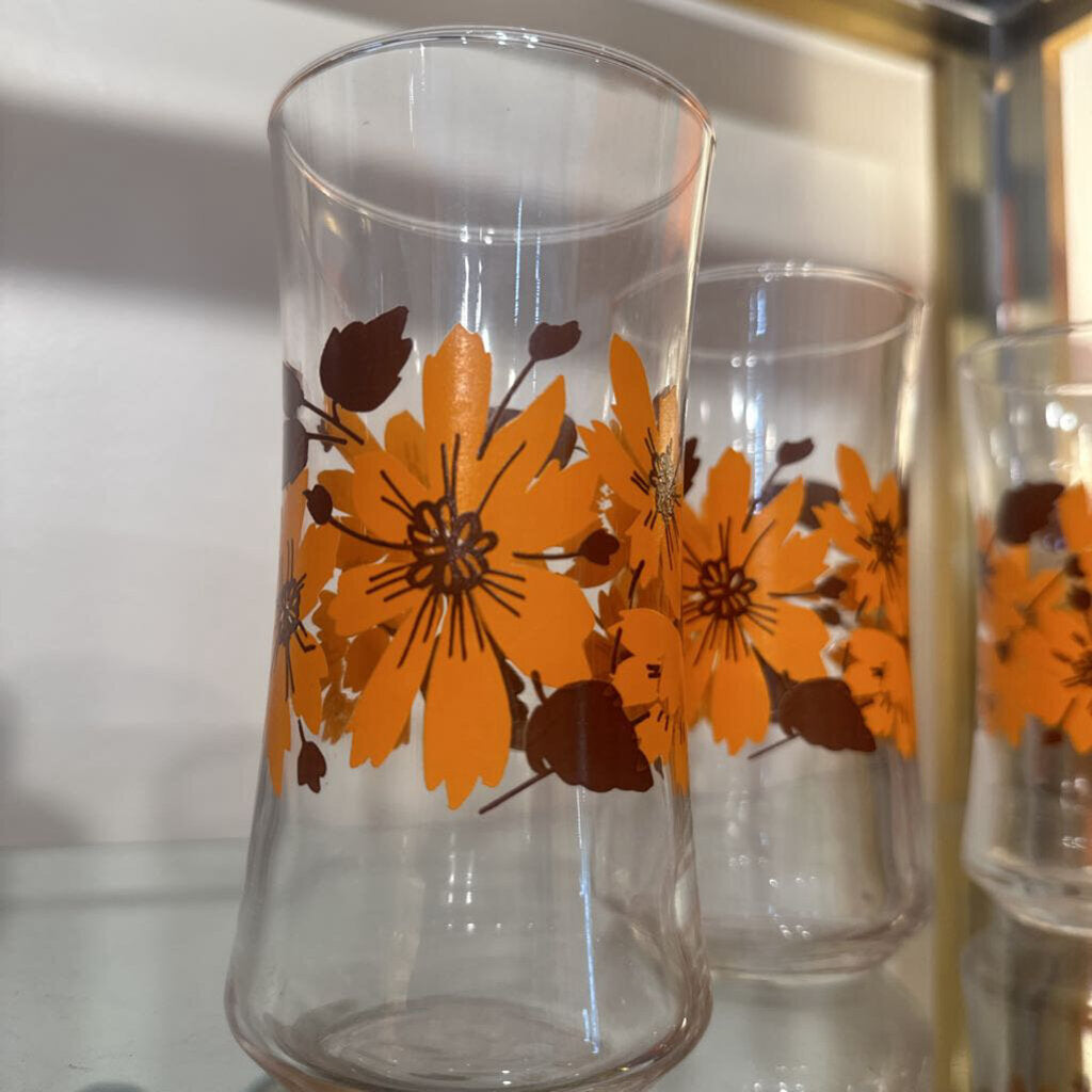 Vintage 1970's Floral Glass Set