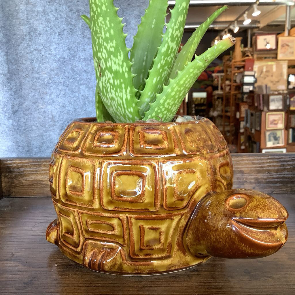 1970s McCoy Turtle Planter