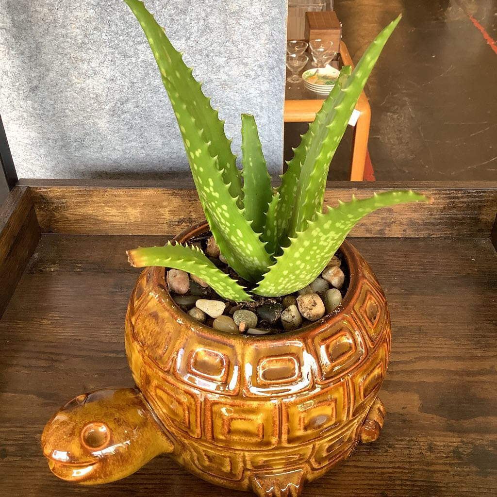 1970s McCoy Turtle Planter