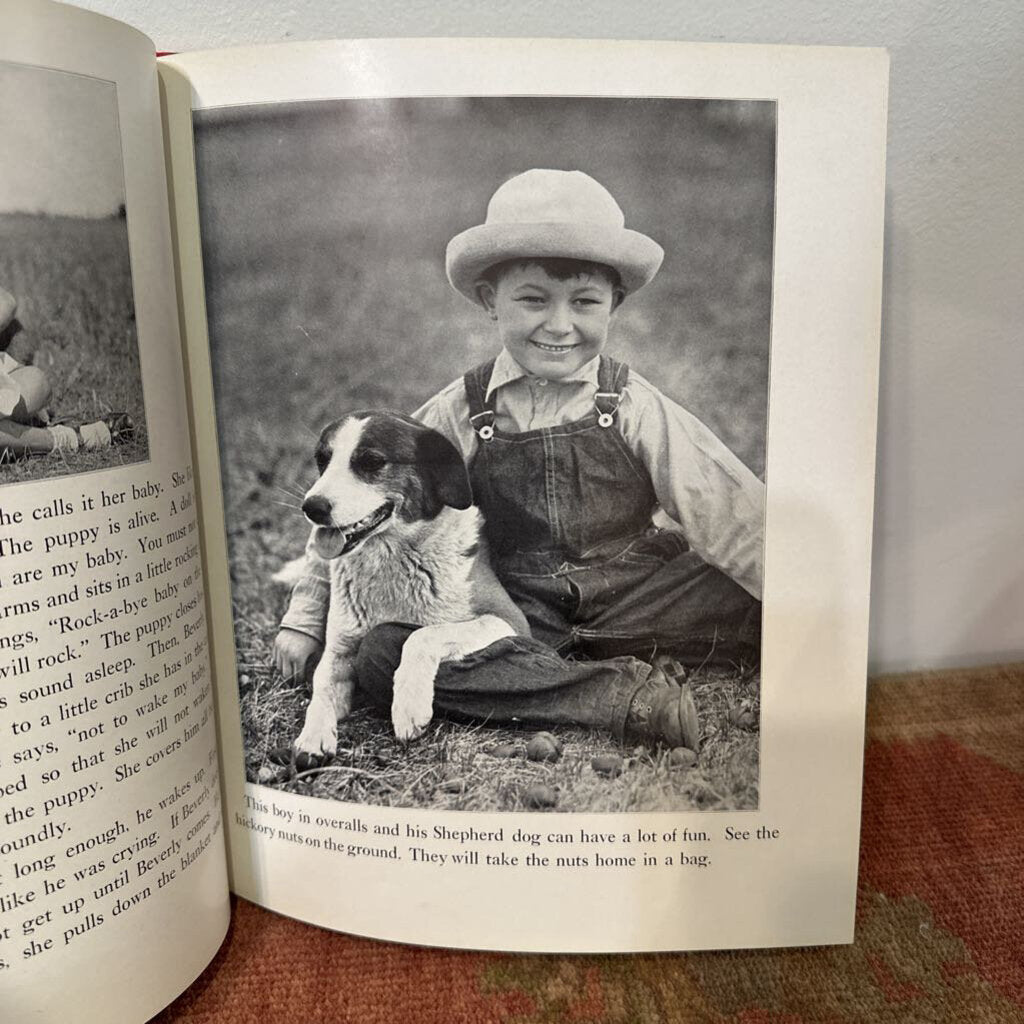 1933 Just Dogs A Children's Picture Book of Dogs and Stories About Them