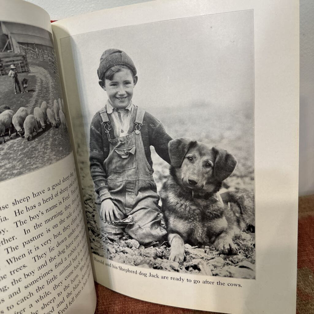 1933 Just Dogs A Children's Picture Book of Dogs and Stories About Them