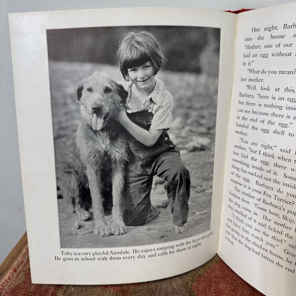 1933 Just Dogs A Children's Picture Book of Dogs and Stories About Them