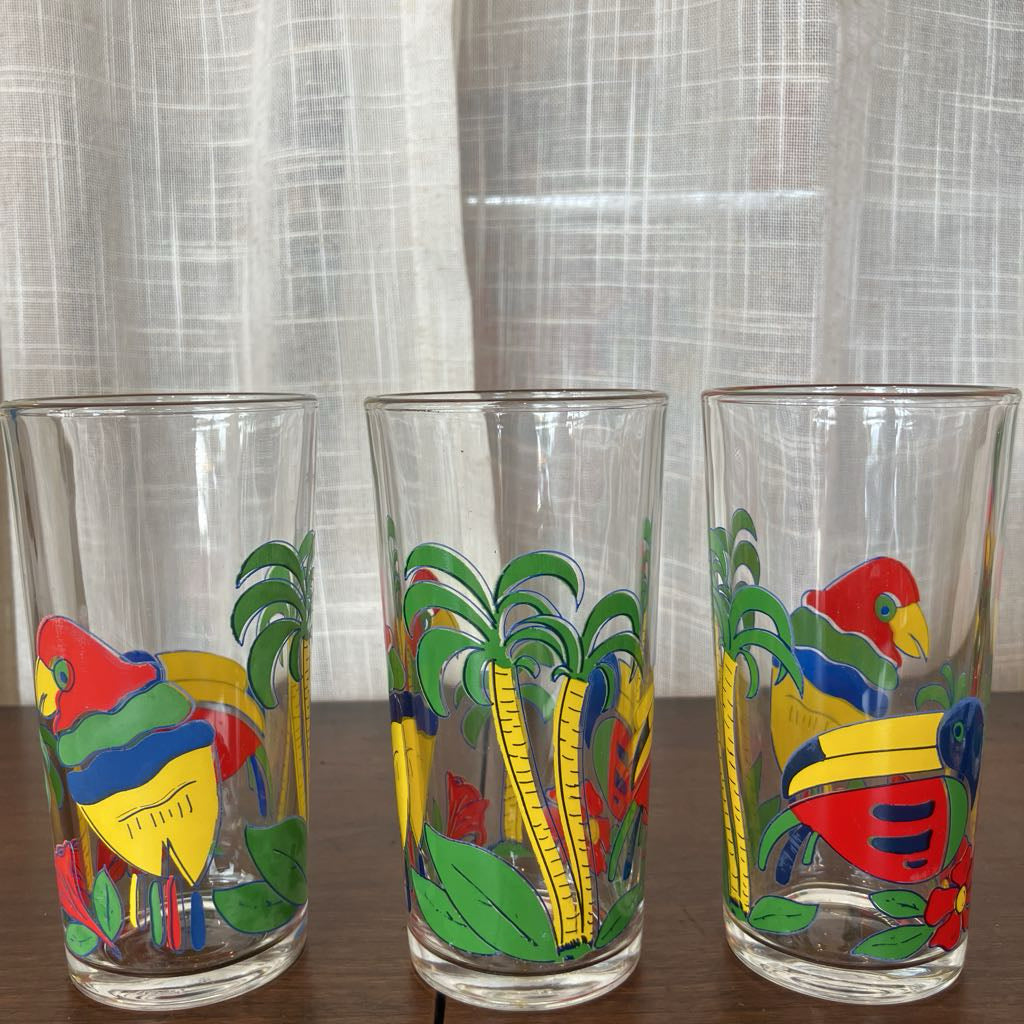 Vintage Toucan Tumbler & Pitcher Set