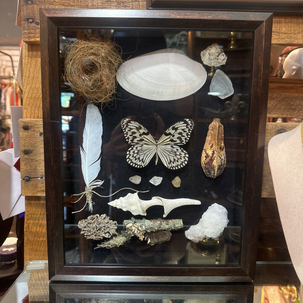 Nature's Treasures Shadow Box