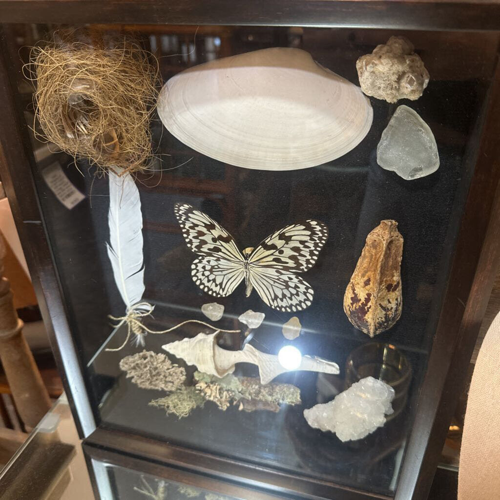 Nature's Treasures Shadow Box