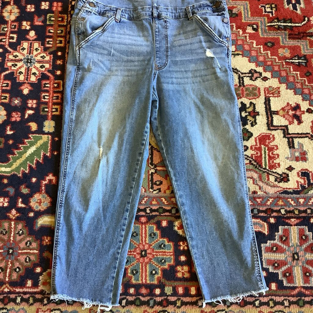 Jordache Overalls