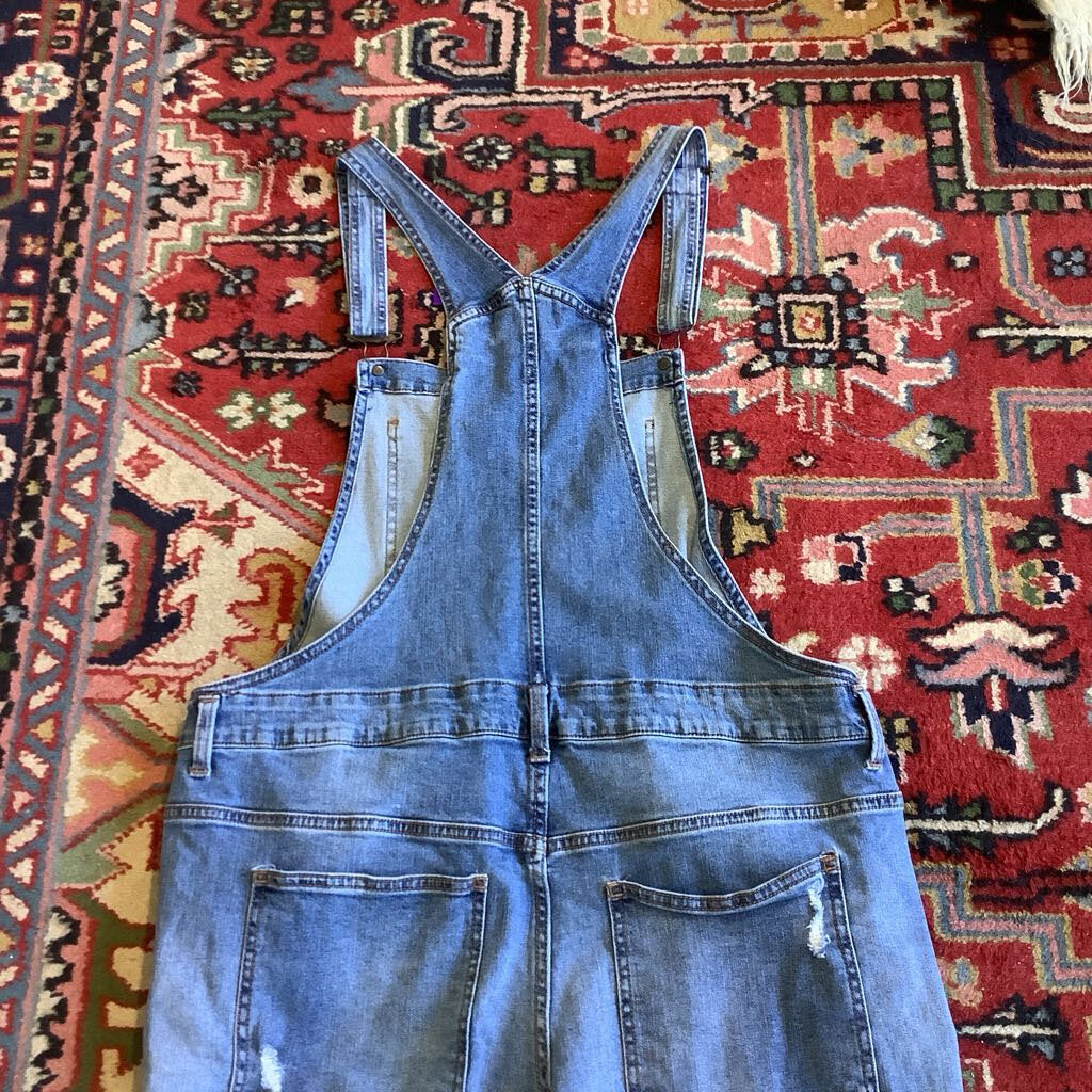 Jordache Overalls