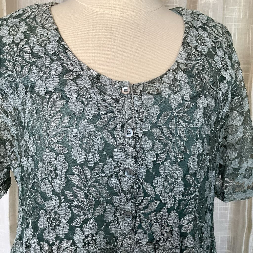 1990s Sage Green Lace Dress