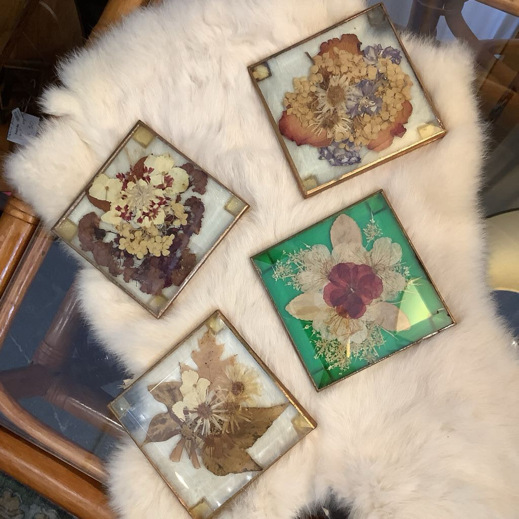 Pressed Flowers Coasters Set