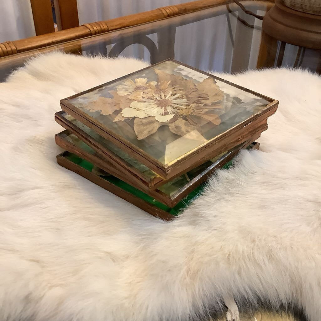 Pressed Flowers Coasters Set
