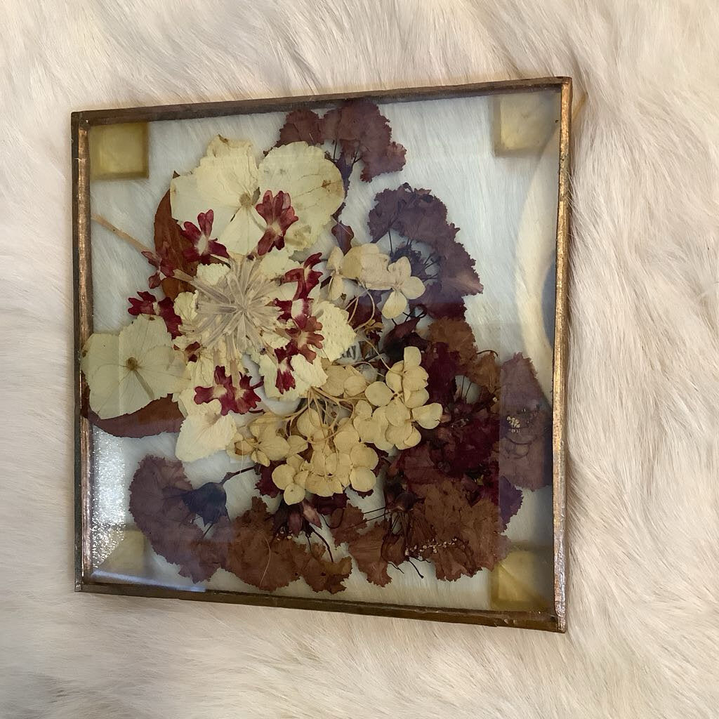 Pressed Flowers Coasters Set