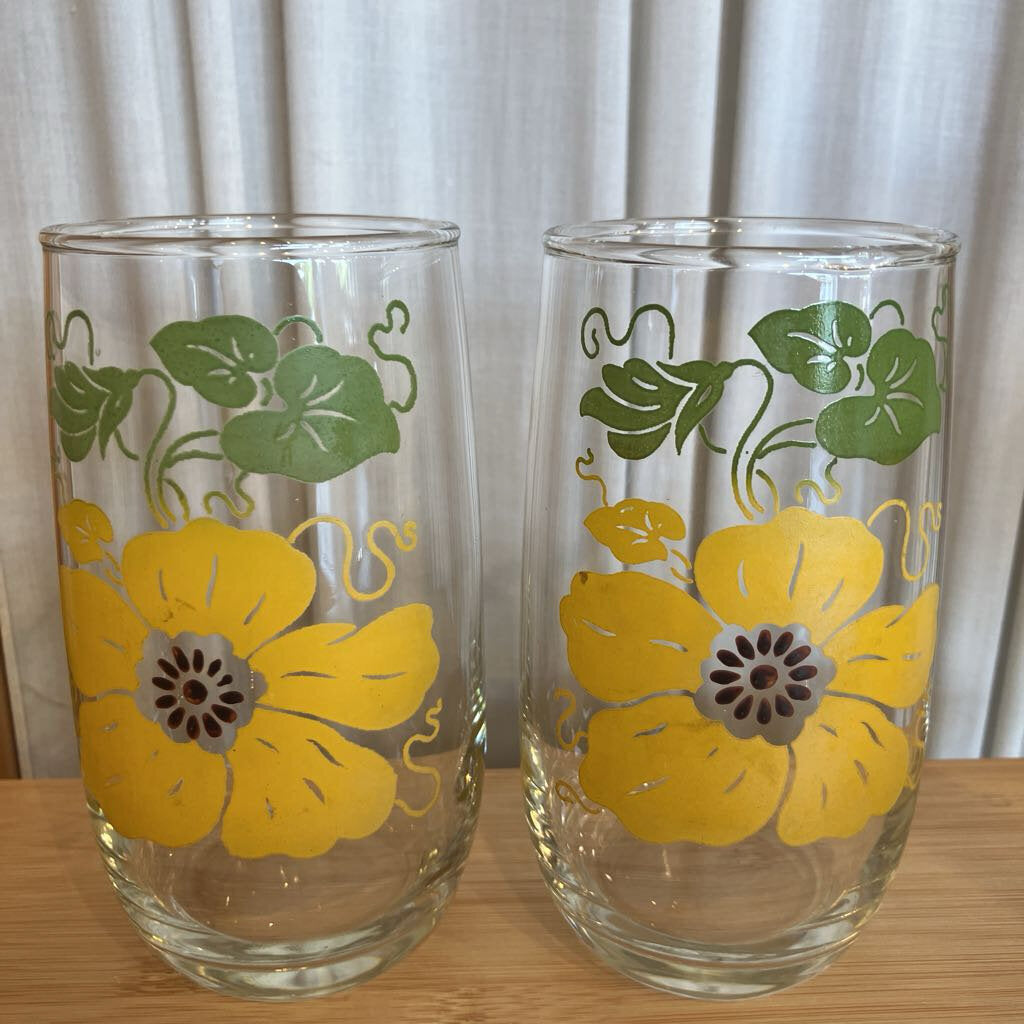 Vintage Morning Glory Poppy Tumber Set of 5