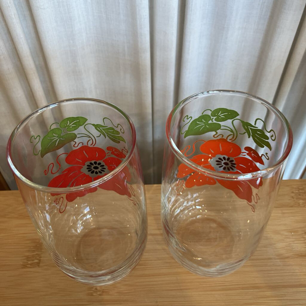 Vintage Morning Glory Poppy Tumber Set of 5