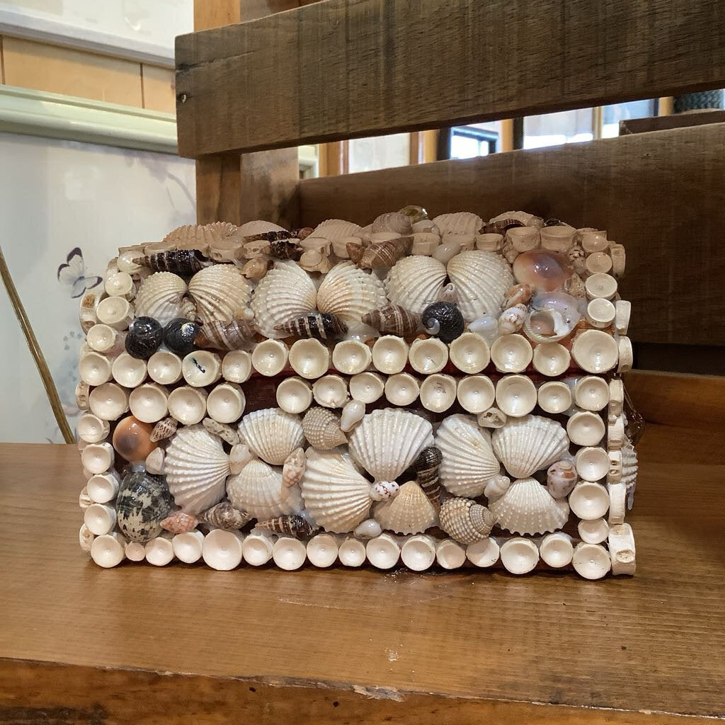 Vintage Shell Chest