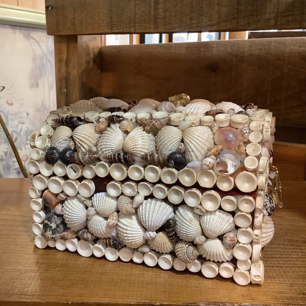 Vintage Shell Chest