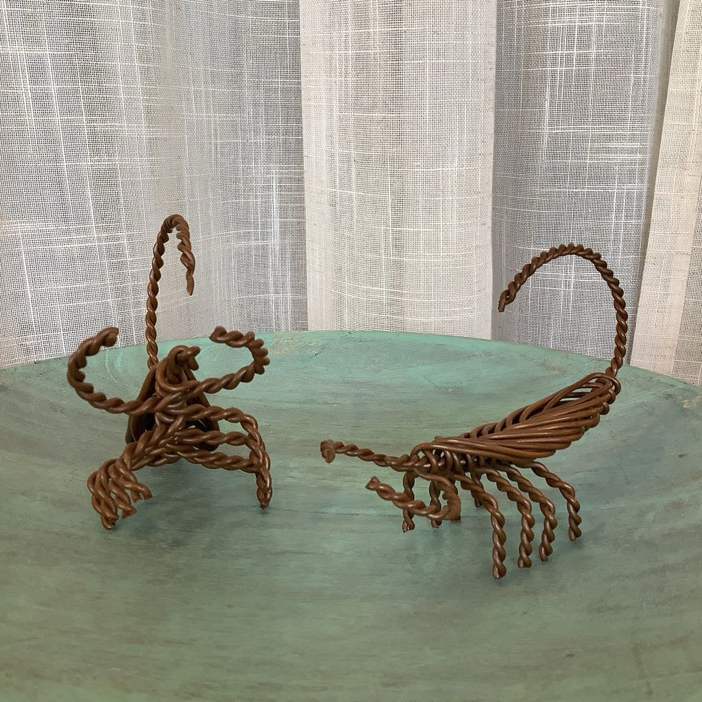 Twisted Wire Scorpians India