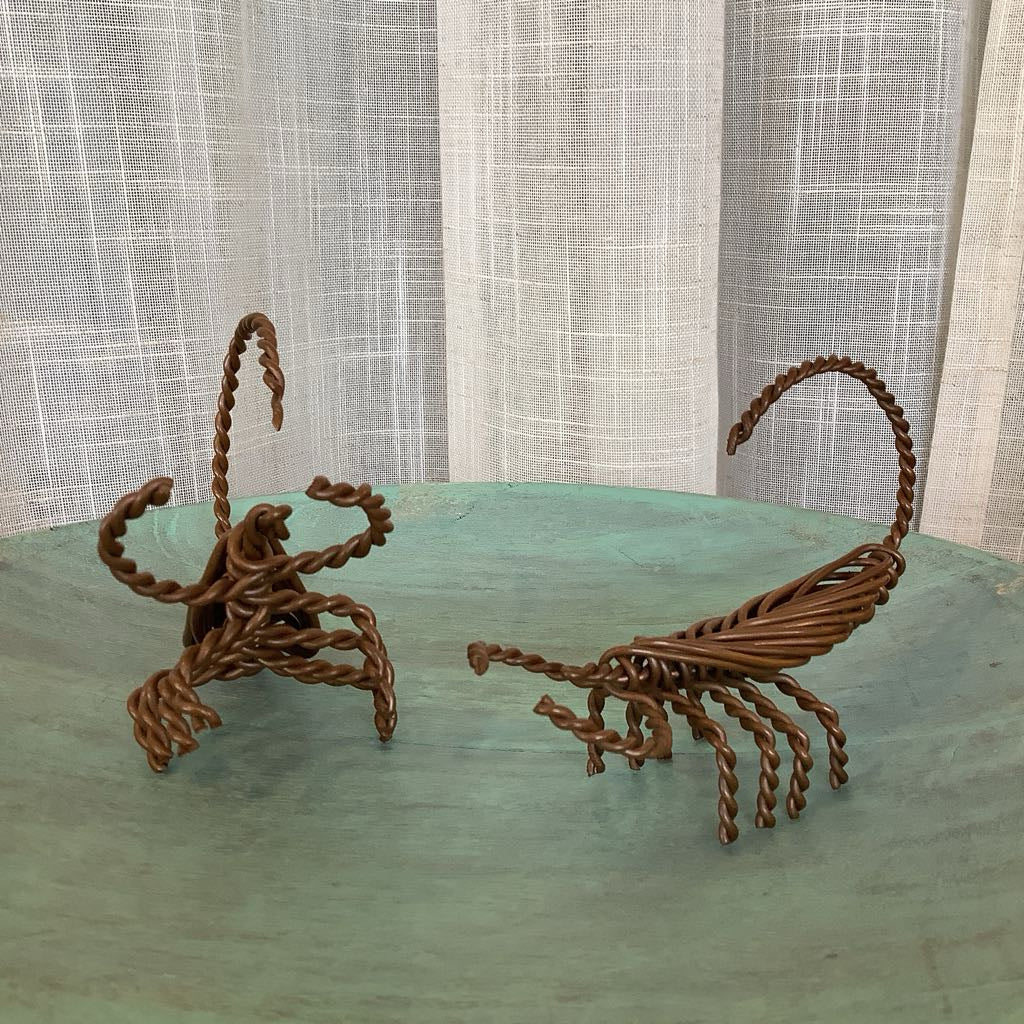 Twisted Wire Scorpians India