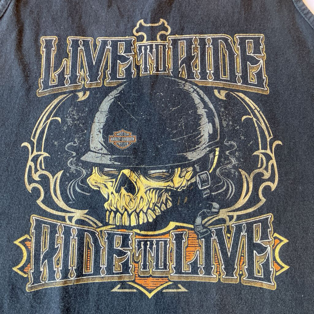 2000s Harley Gainesville Tank