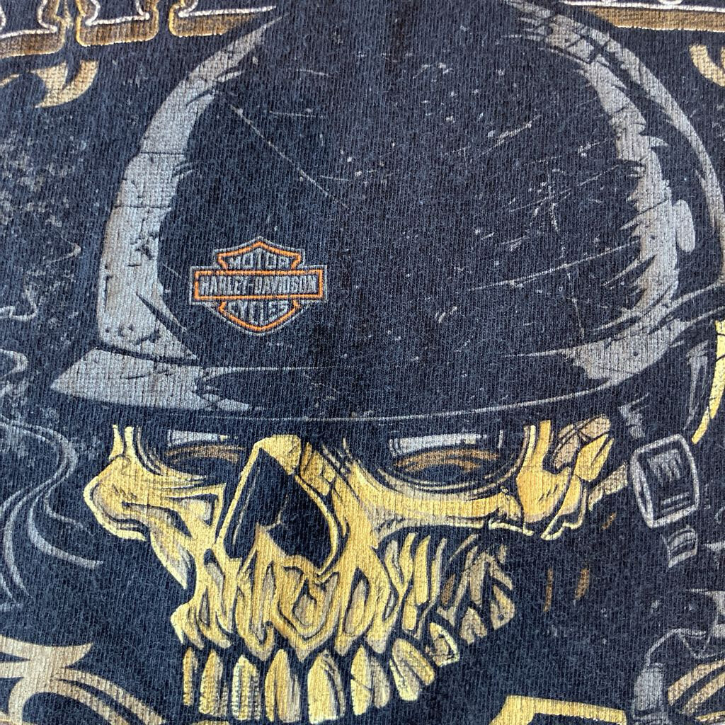 2000s Harley Gainesville Tank