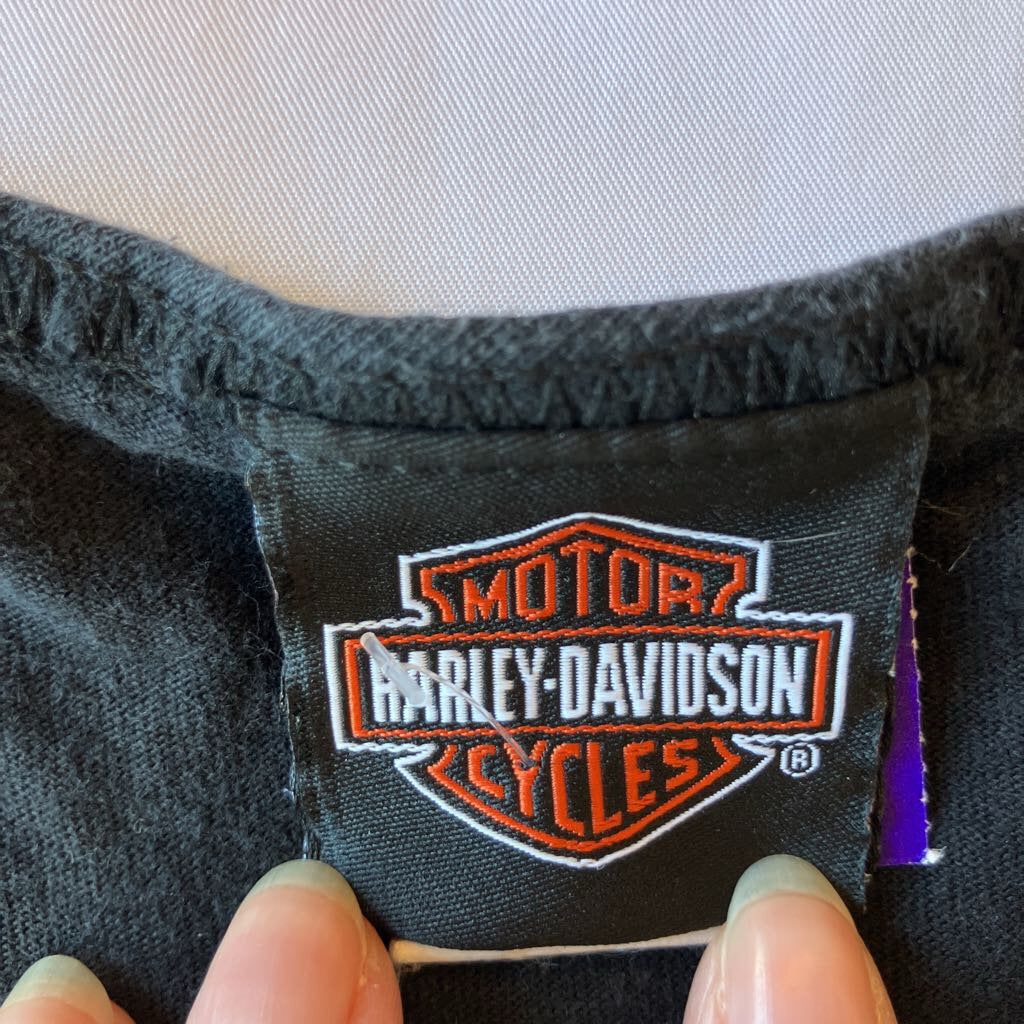 2000s Harley Gainesville Tank