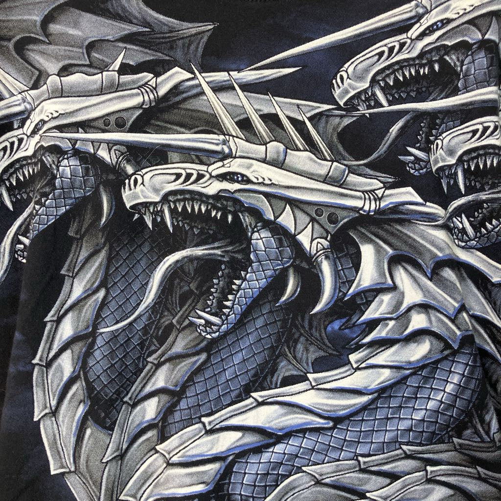 Detailed illustration of a dragon with multiple heads on a dark background