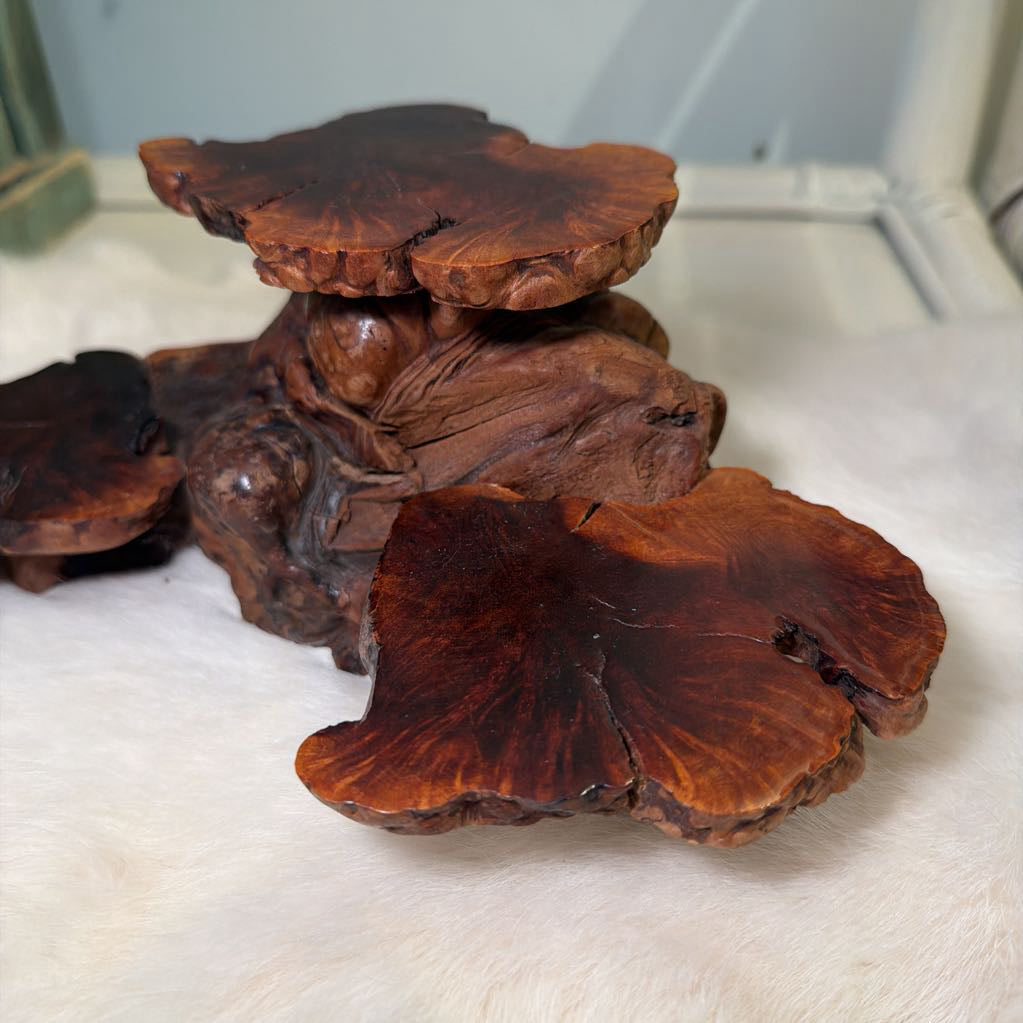 Burl Wood Root stand