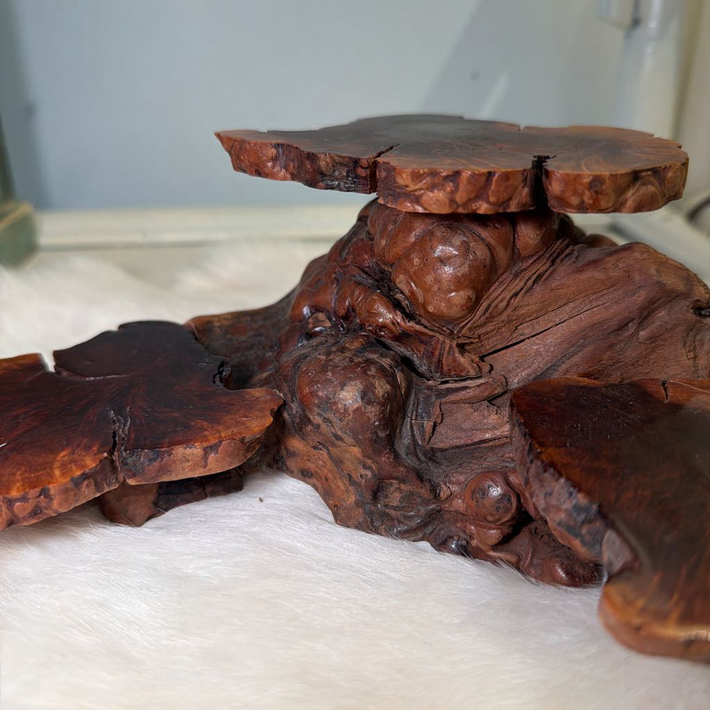 Burl Wood Root stand