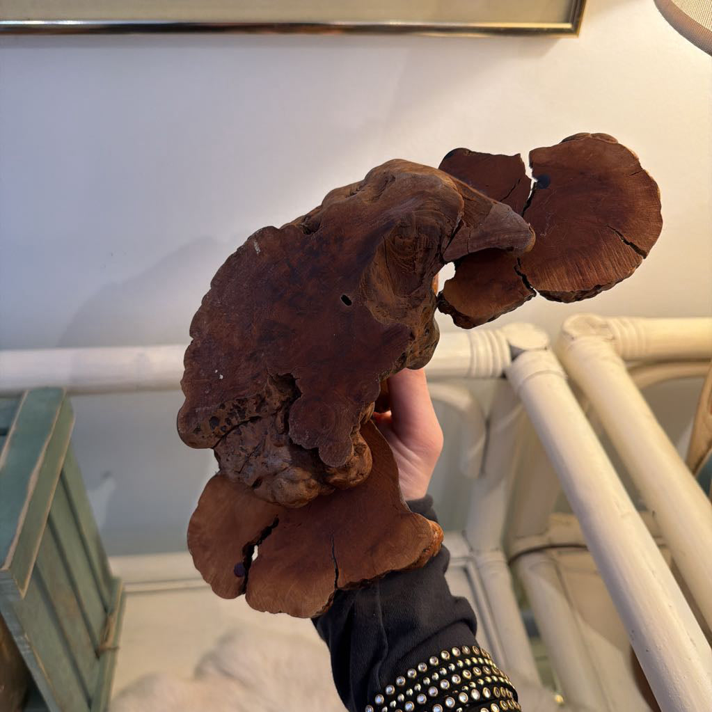 Burl Wood Root stand