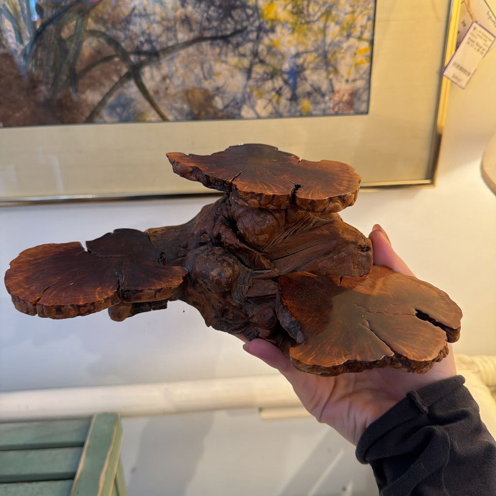 Burl Wood Root stand