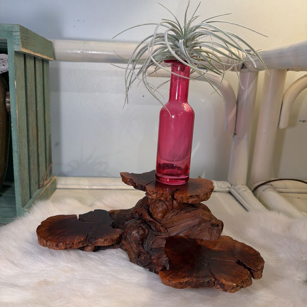 Burl Wood Root stand
