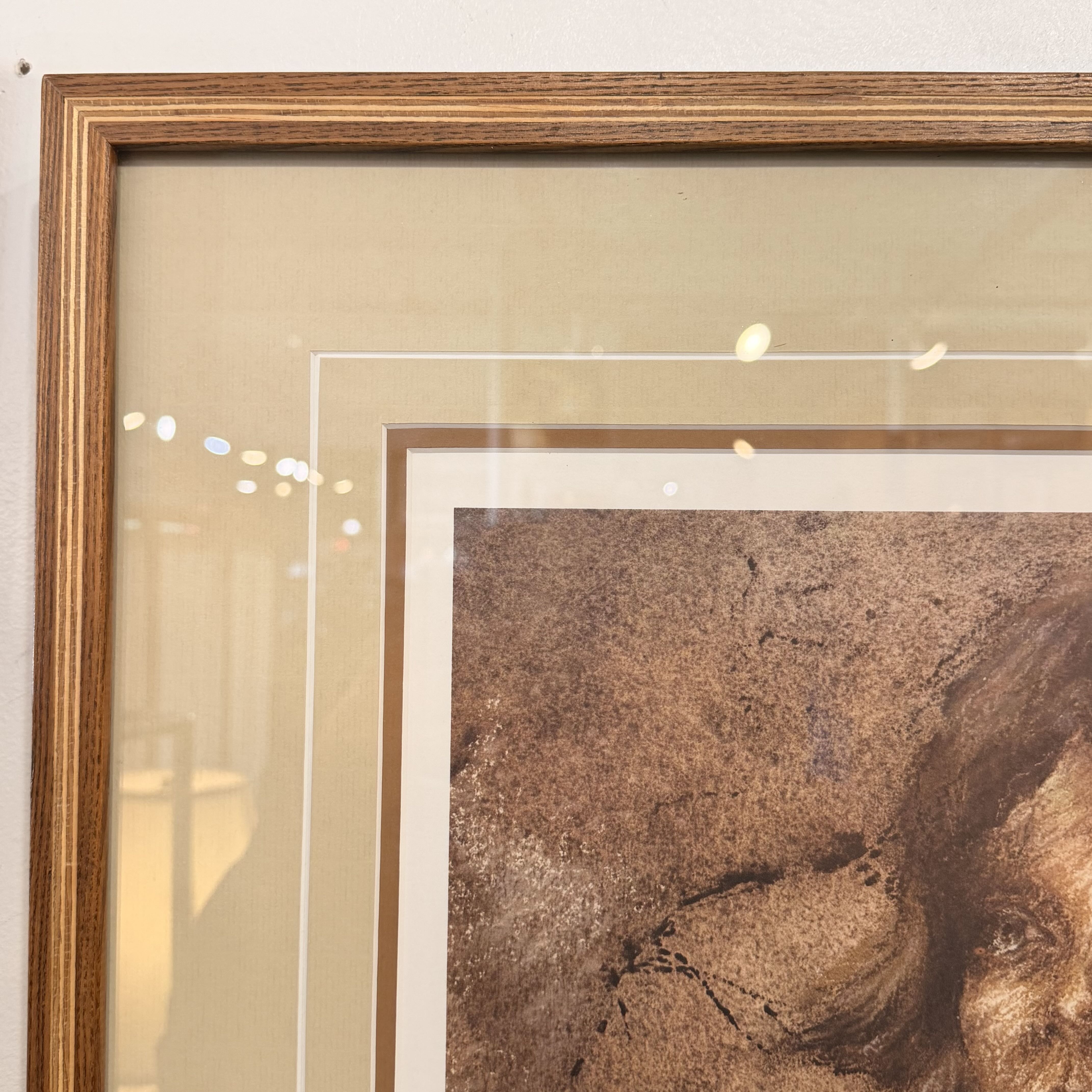 Framed artwork of a dog with a clear protective cover on a light background