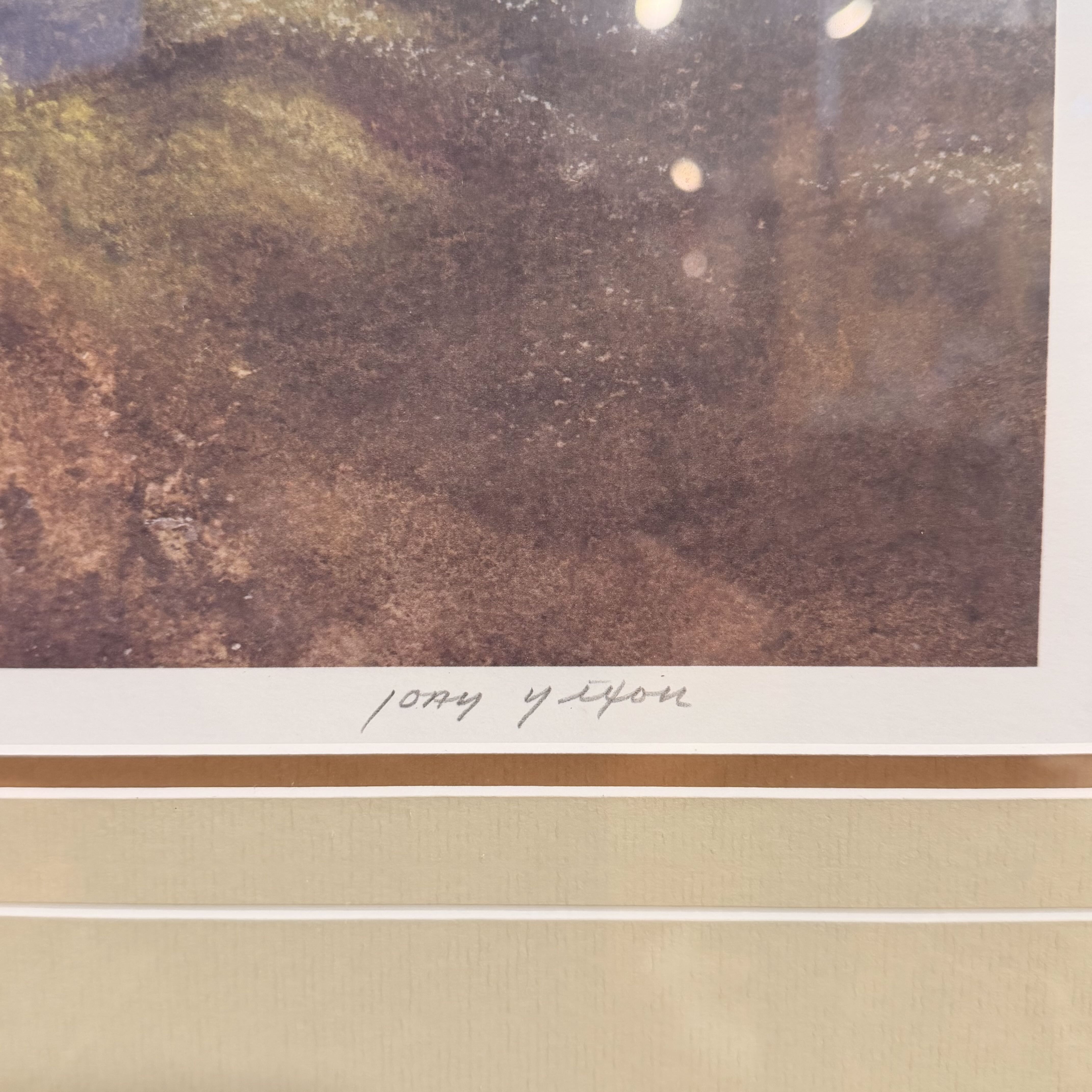 Close-up of a textured surface with 'Jody Ylvisaker' signature at the bottom.