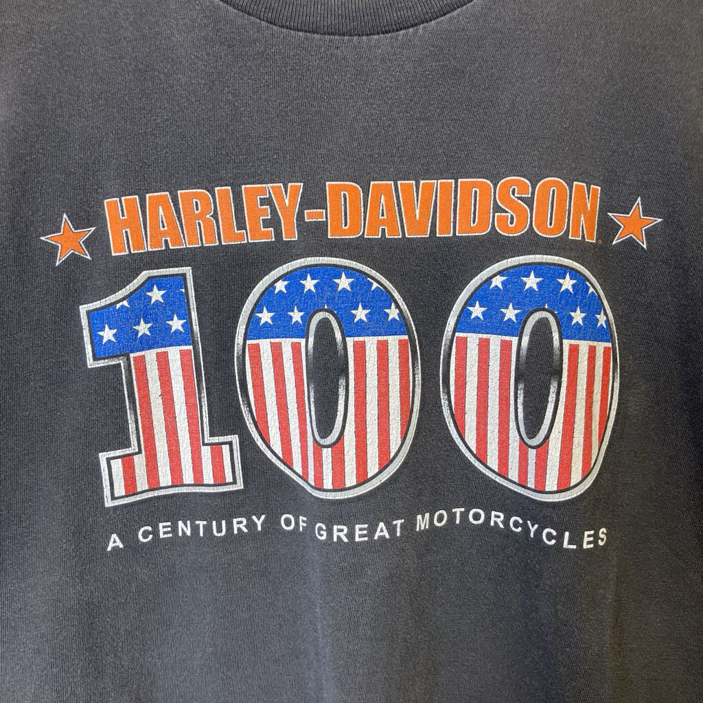 Harley-Davidson t-shirt celebrating 100 years of motorcycles with American flag design.