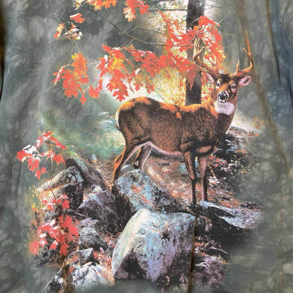 Deer standing on rocks with autumn foliage in a forest setting