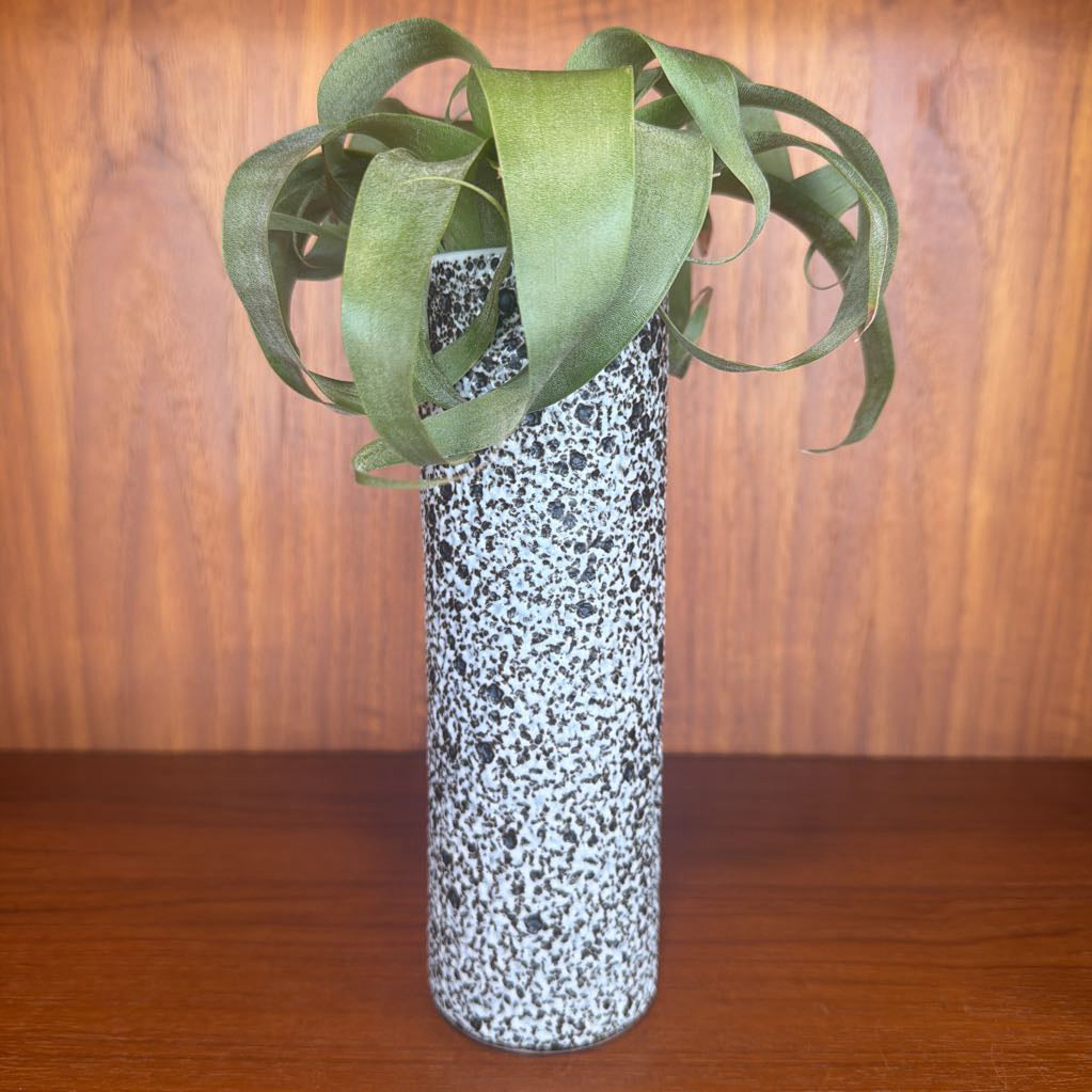 Decorative vase with a pattern and green leaves on a wooden surface