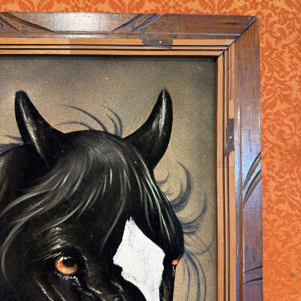 Close-up of a horse's head with a detailed wooden frame.