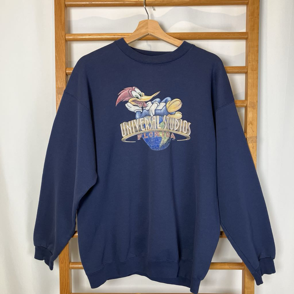 Navy blue sweatshirt with a cartoon character and 'Universal Studios Florida' text on a wooden hanger.
