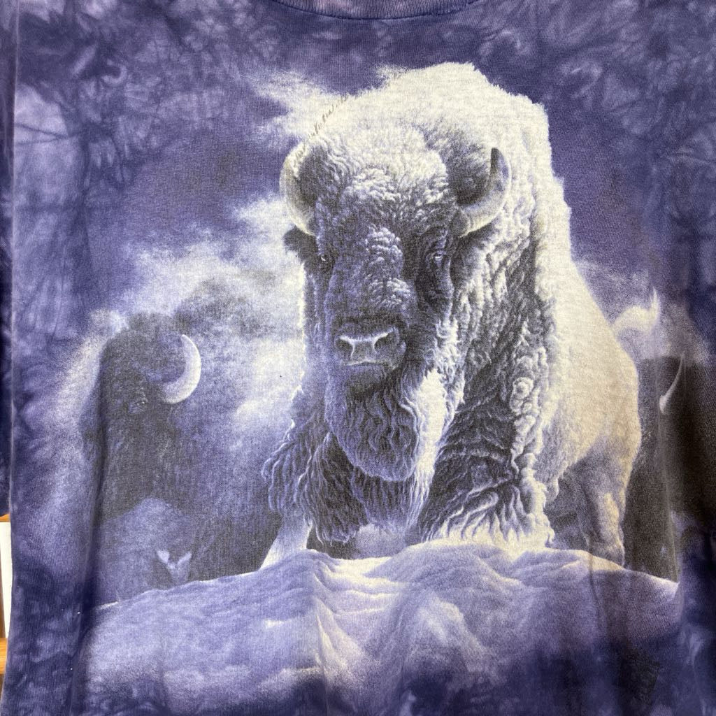 Tee with a graphic of a bison in a snowy landscape