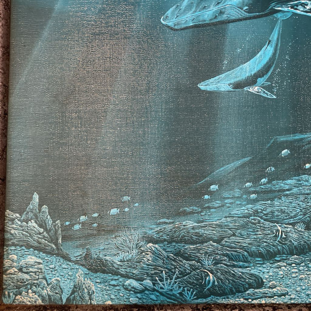 1981 Robert Lyn Nelson Framed Print of Whales
