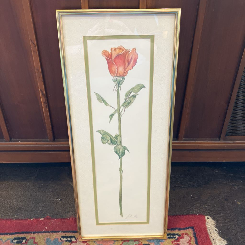 Framed botanical illustration of a red rose on a wooden floor.