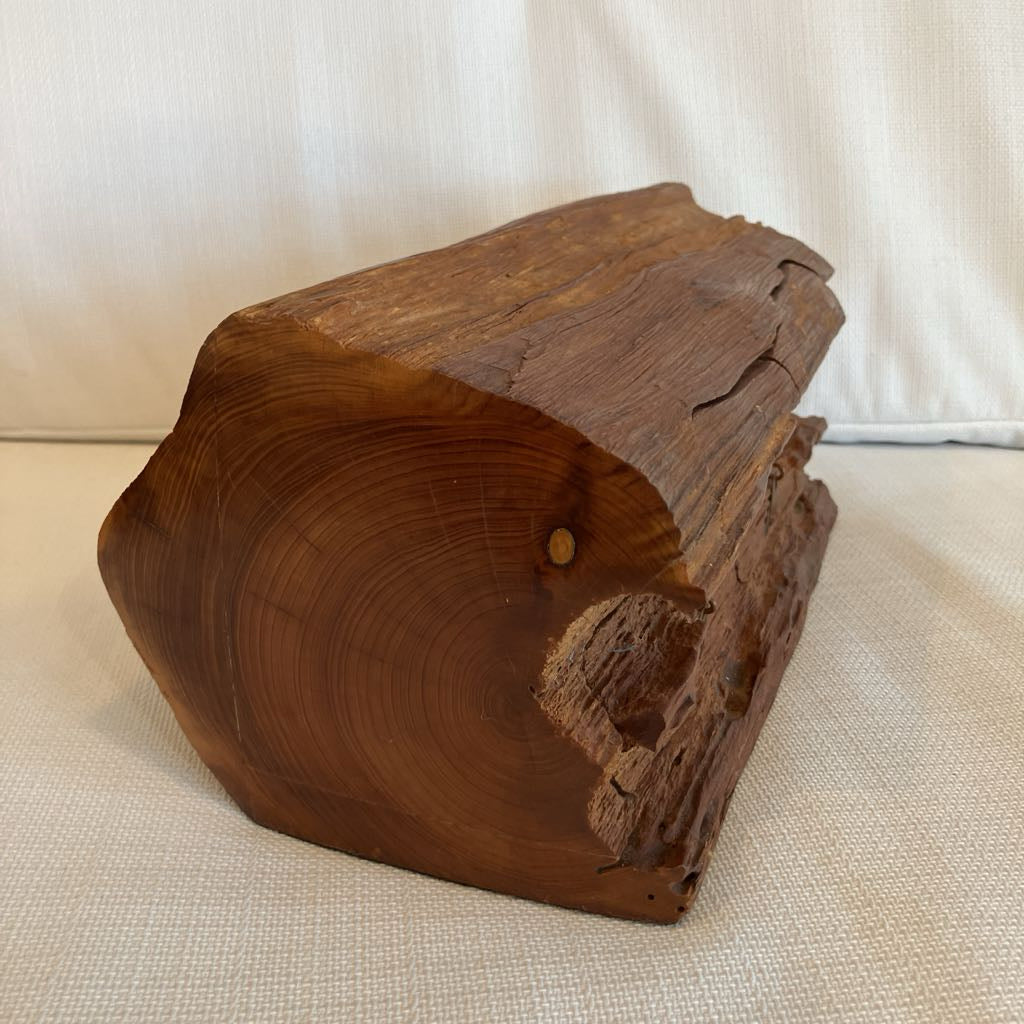 Wooden log on a beige surface with a white background
