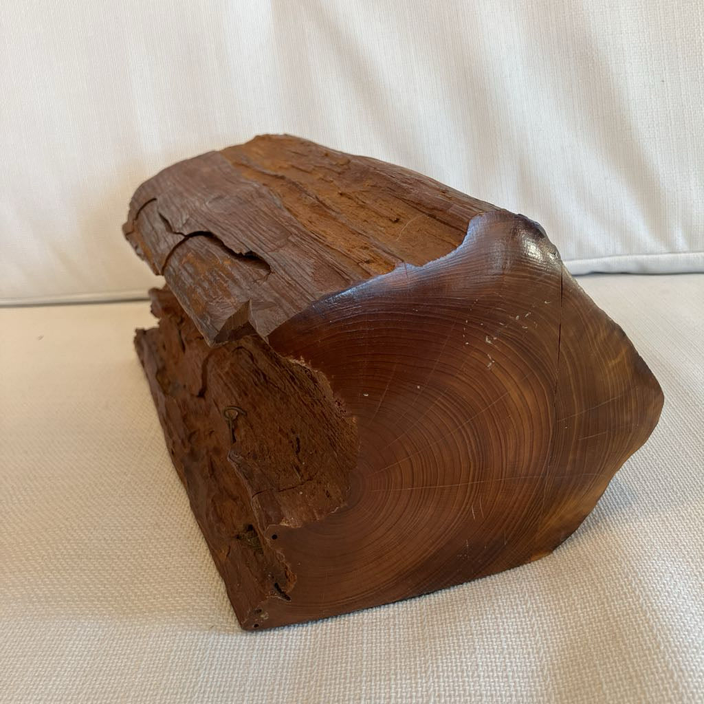 Wooden log with a rough texture on a beige surface