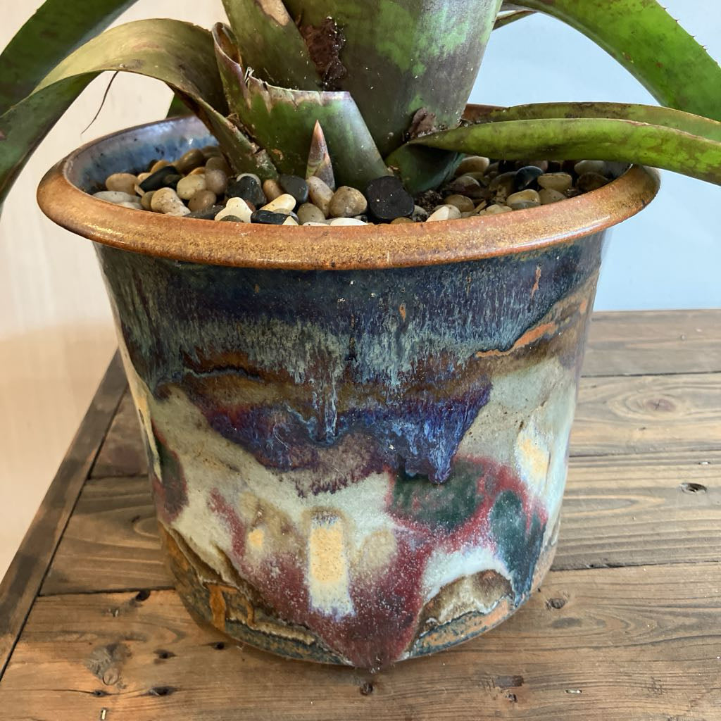 Plant in an abstract pot on a wooden table against a white wall 
