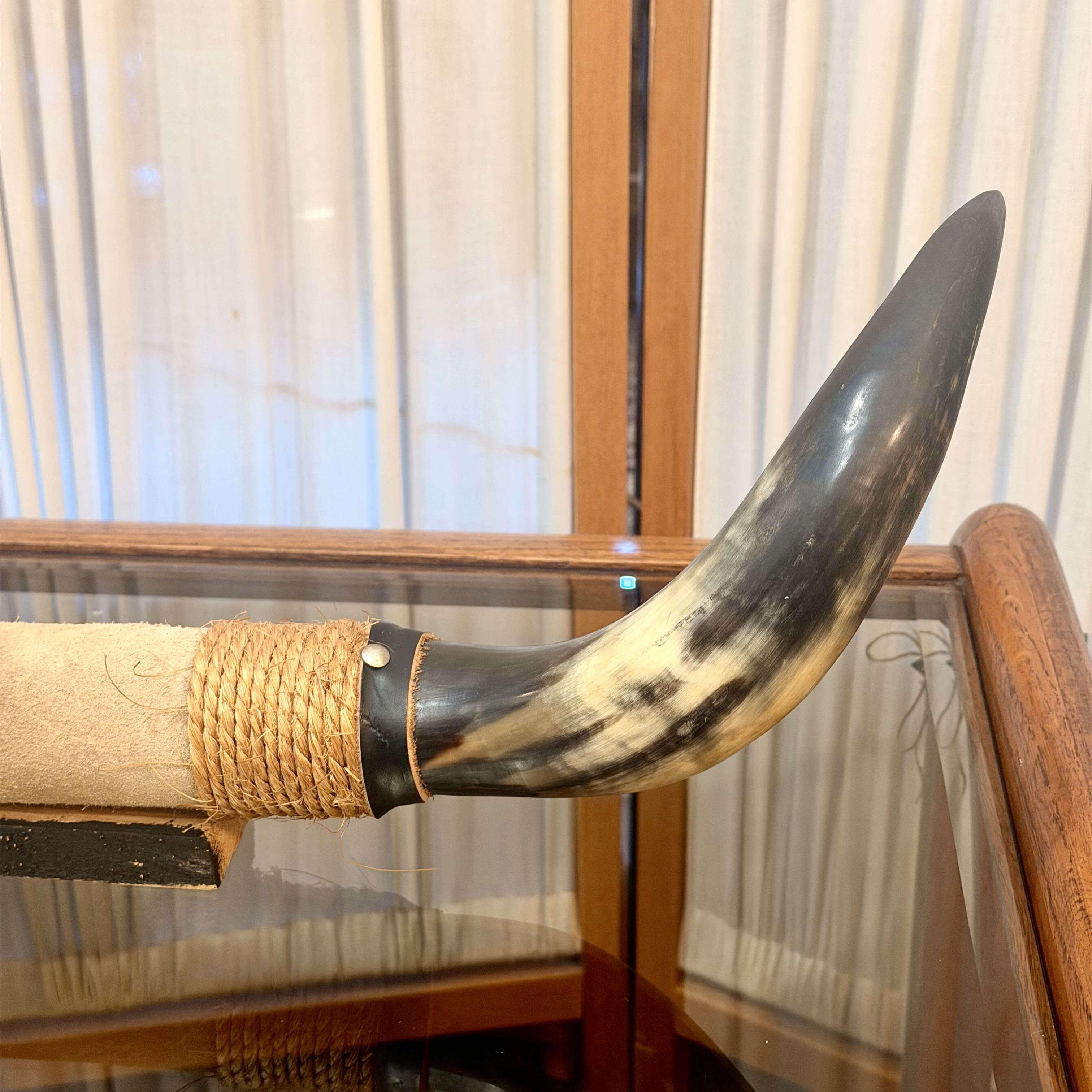 Vintage Mounted Steer Bull Horn